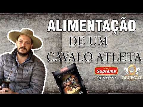 ALIMENTAÇÃO DE UM ANIMAL DE PISTA - Doma de Bocal