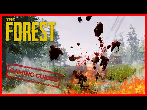 DIE BESTEN FALLEN IN THE FOREST / GAMING GUIDES - The Forest 🌲
