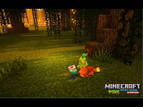 Видеообзор