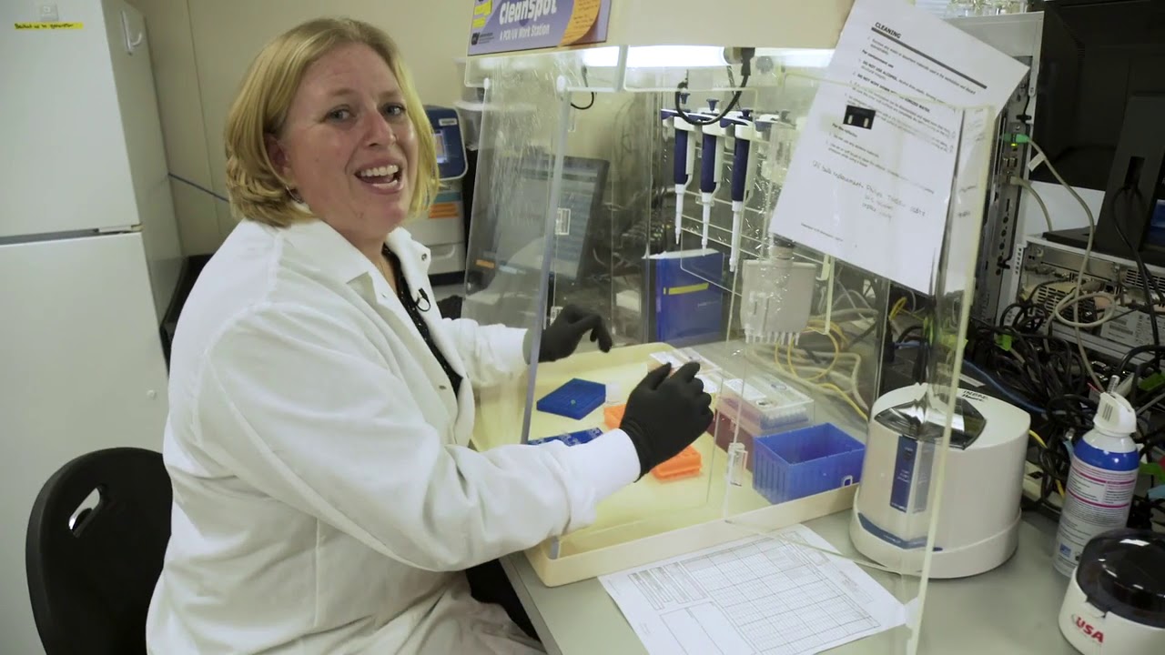 4  How to use PCR and qPCR