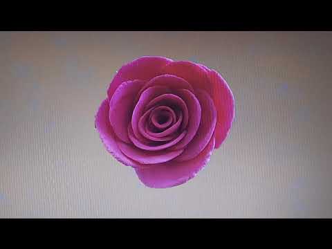 Gebundenheit und Befreiung