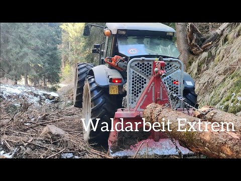 🌲Forstarbeit 2021🌲 Holzarbeit Extrem mit Tajfun Seilwinde🌲