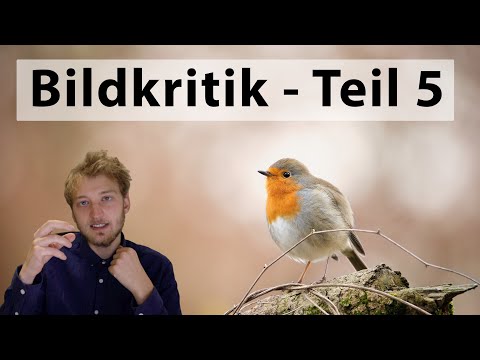 Bildkritik Teil 5 - Ich gebe Feedback zu euren Fotos
