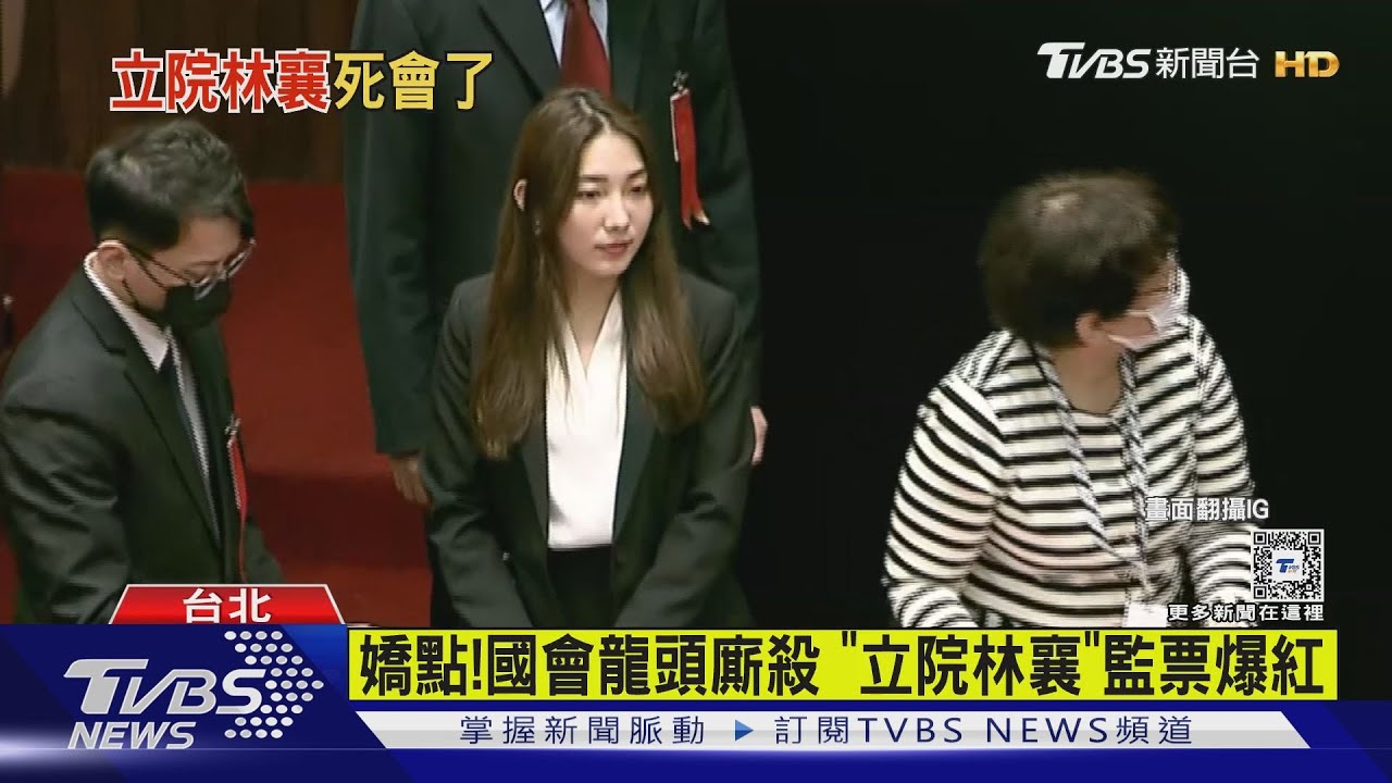 嬌點!國會龍頭廝殺 「立院林襄」監票暴紅