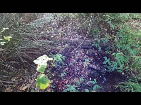 Årets första älgjaktsdag 2023 på Bokön norr om Kallinge i Blekinge.