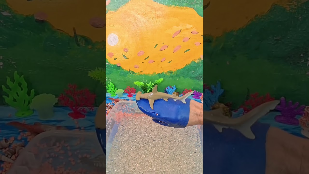 The Hammerhead Shark | A Shark's Home