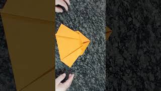 AVIÃO DE PAPEL PÁSSARO QUE VOA MUITO LONGE