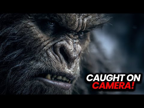 6 Creepy Bigfoot Moments From Trail Cams