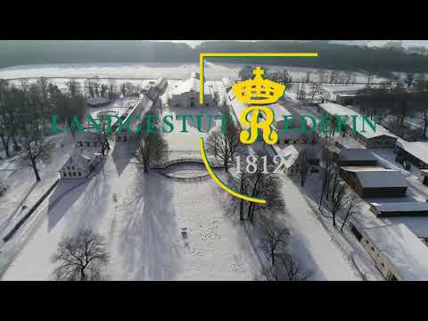 Okawango Hengstpräsentation 2021