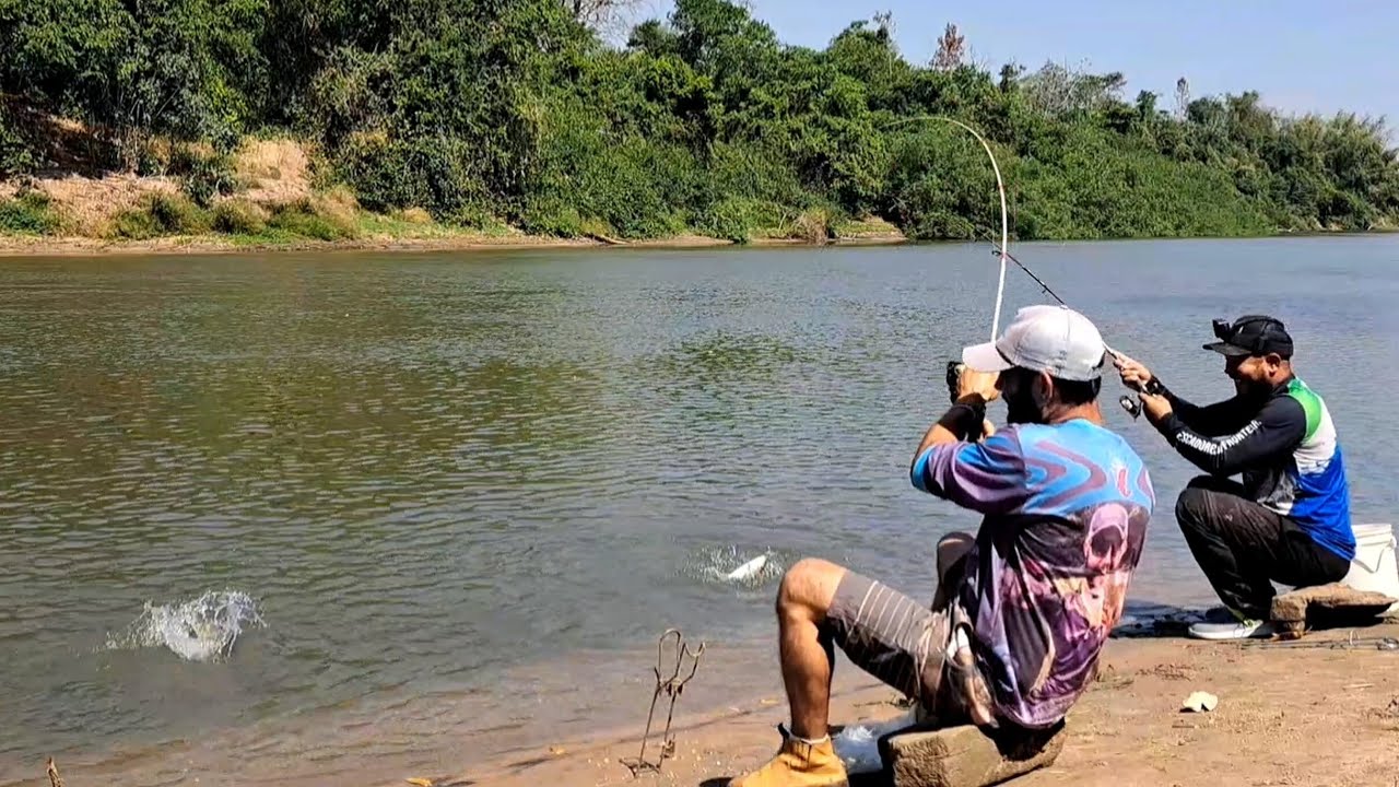 NÃO DA TEMPO DE BEBER ÁGUA , TINHA MAIS PEIXE QUE ÁGUA NESSE LUGAR /PESCARIA NO PANTANAL .