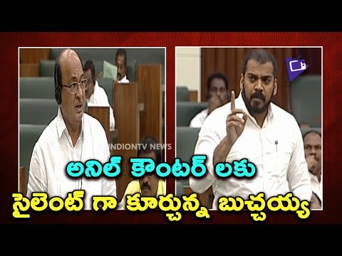 Anil Kumar Yadav Gives Strong Counter To TDP Butchaiah Chowdary | AP Assembly 2019 | Indiontvnews Video