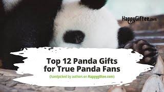 Top 12 Panda Gifts for True Panda Fans