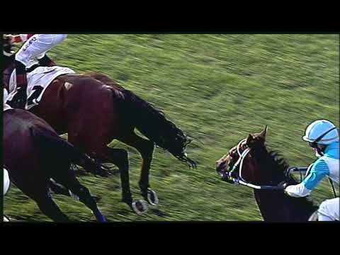 Galoppo 05/08/2020 - 2ª corsa