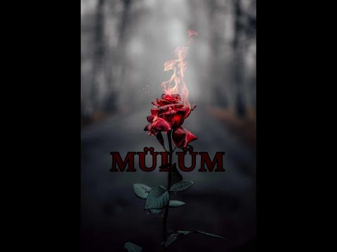 Romano Rap 2023 Marwin x Emir & Erwin ( Mülüm ) Official Video