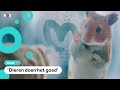 Hoe maak je een goede kerstreclame?