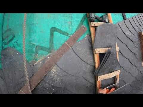 Linke Wangenkehle am Schornstein - Live vom Schieferdach in Berlin.