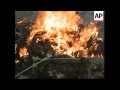 Chickens Being Burnt Villagers Amid Buird Flu Fears