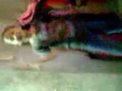 5dolls like this or that dance cover