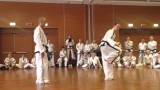 Moon-Moo tul With the Champion Lylian Doulay and Great Instruction by GM Bos !