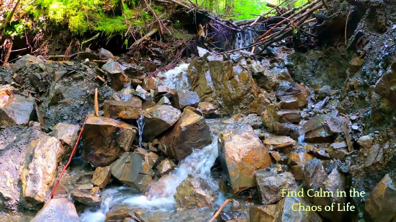 Exploring the Best Calm Meditation Techniques