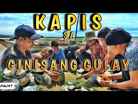 EP913-P1 - Capiz Forage and Cook