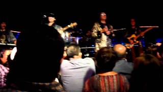 LOS FELINOS EL VENADITO