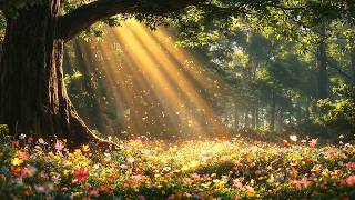Enchanted Forest Music 🌿 Fairy Ambience for Deep Sleep, Relaxation, Study & Inner Peace