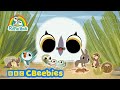 21 Mins Of Fun With Oona Baba Friends Puffin Rock CBeebies