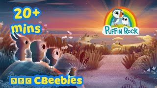 Best moments of Puffin Rock! | Puffin Rock | CBeebies