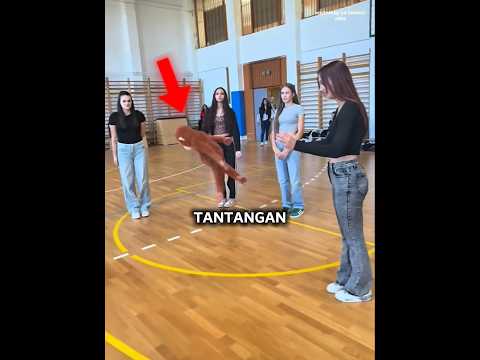 Tantangan Monyet Ini Bikin Semua Orang Ngakak! 😂