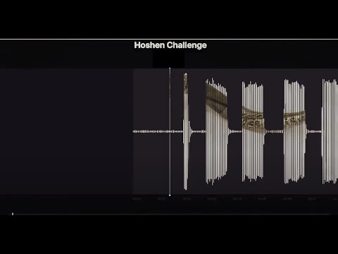 פתרון חידה - צה"ל (חושן) - 09.2020