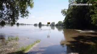 preview picture of video 'Hochwasser in der Altmark: Arneburg trennt nur noch Schutzwand von Elbe'