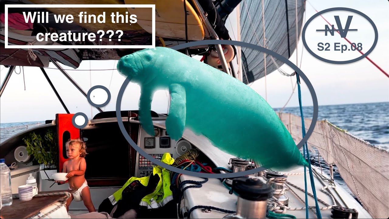 Sailing in Search of Sea Cows! | S2 Ep8