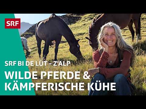 Wilde Pferde & kämpferische Kühe  | Z'Alp – SRF bi de Lüt | 2025 – 2/5 | SRF