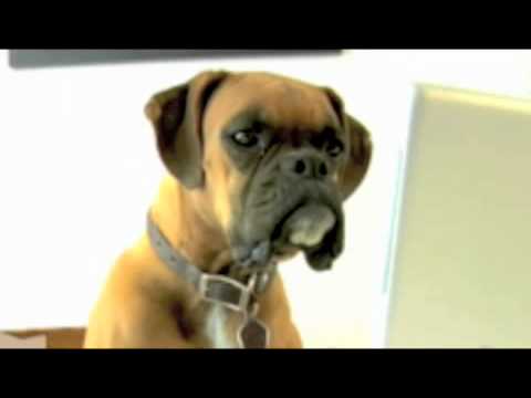 Like The Sun~Macy Gray and Zucchero