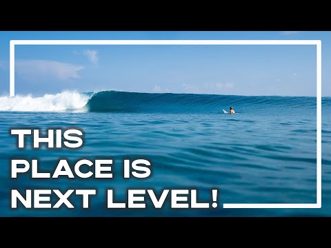 Is This My Favourite Surf Trip Ever? Niyama Resort | Surfing The Maldives 🏄‍♂️ | Stoked For Travel
