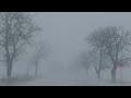 DN22 Km 199 200 Loc Randunica Jud Tulcea Vizibilitate Sub 20 M