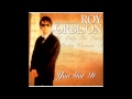 You Got It Roy Orbison Instrumental Cover By Dave ...