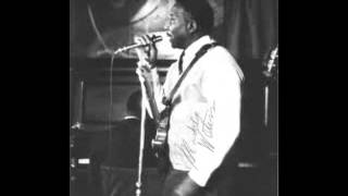Muddy Waters- Don't Go No Further (Live)
