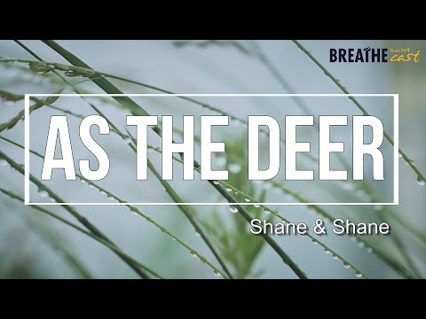 [Lyric Video] As the Deer -  Shane & Shane