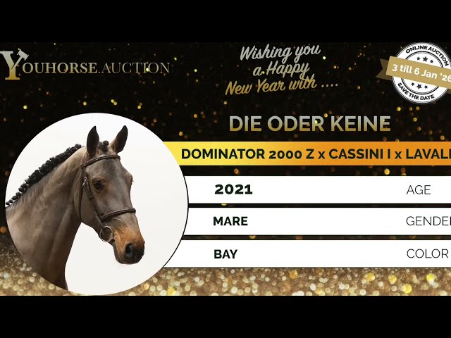 Die Oder Keine homevideo