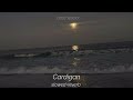 Cardigan - Dolby Atmos stems - Slowed Reverb Version