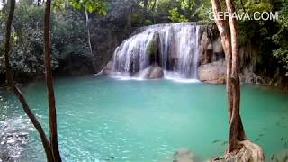 Download lagu Suara Alam Hutan Pengantar Tidur mp3