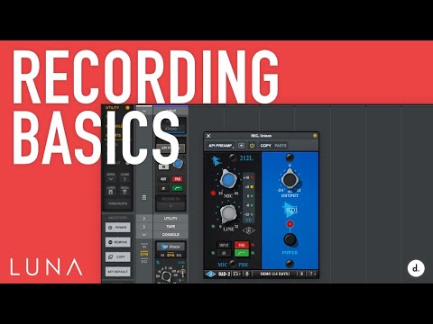 Recording Basics in LUNA