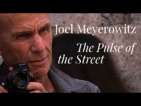JOEL MEYEROWITZ I THE PULSE OF THE STREET (2016) | The vibration of the landscape - Film excerpt