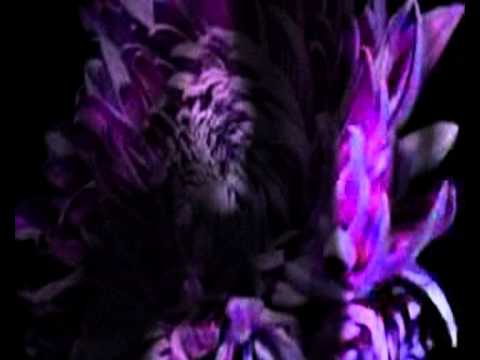 microwave cowboys - Forbidden fruit