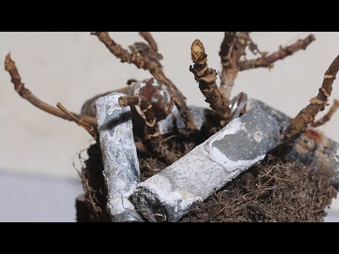 Baterije su opasan otpad