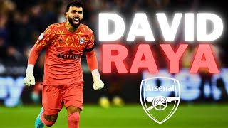 David Raya - Welcome To Arsenal?