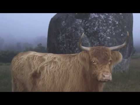 kalinda mountain high