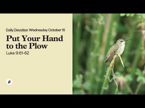 Put Your Hand to the Plow – Daily Devotional
